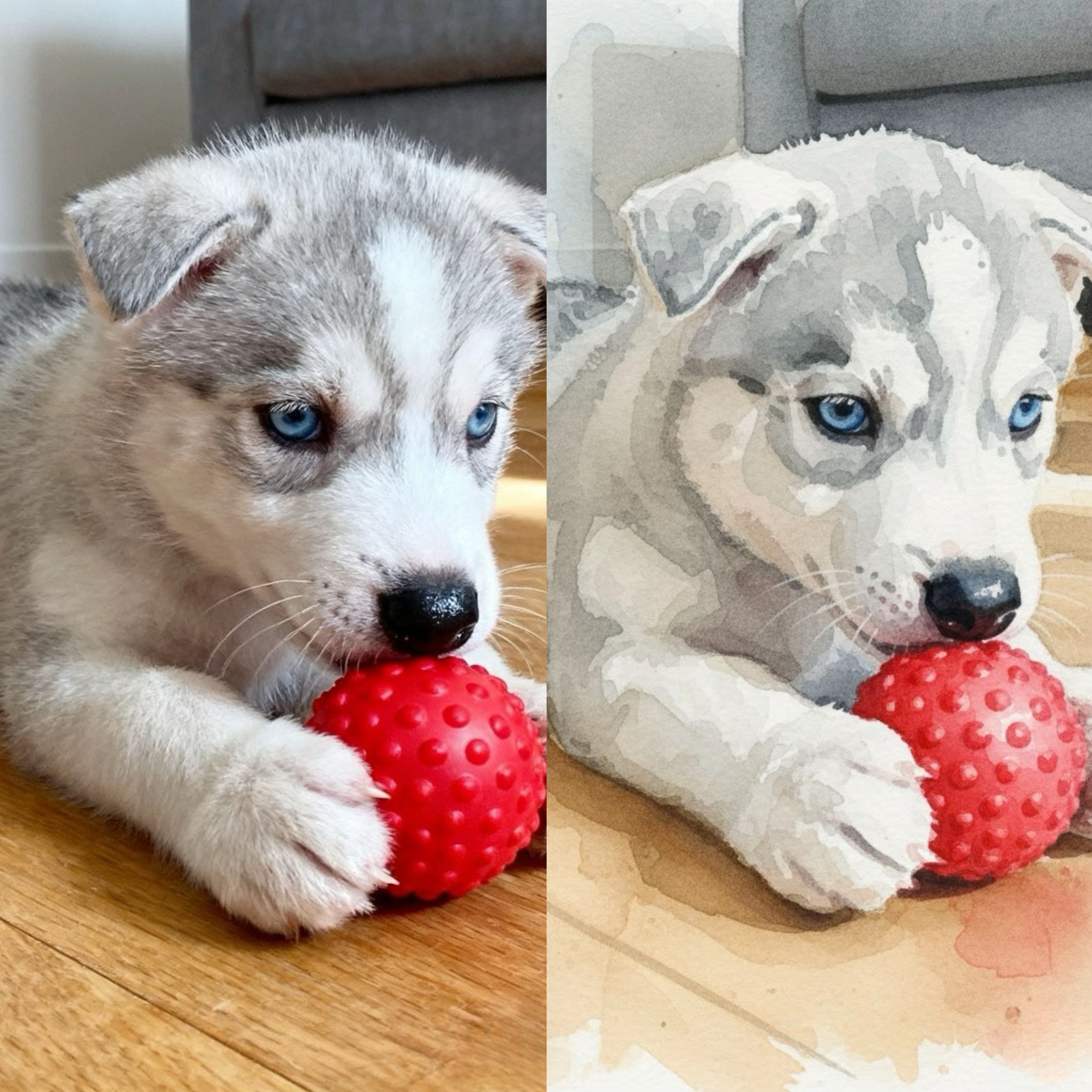 Artistic Pet Illustration